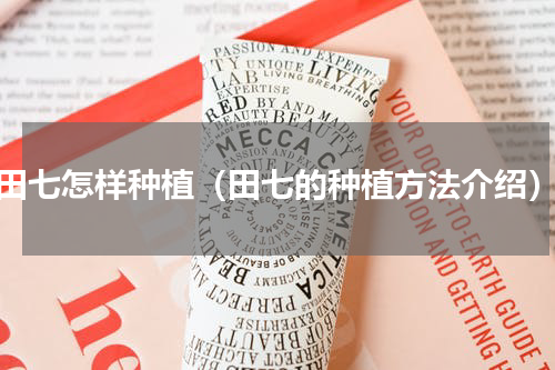 田七怎样种植（田七的种植方法介绍）