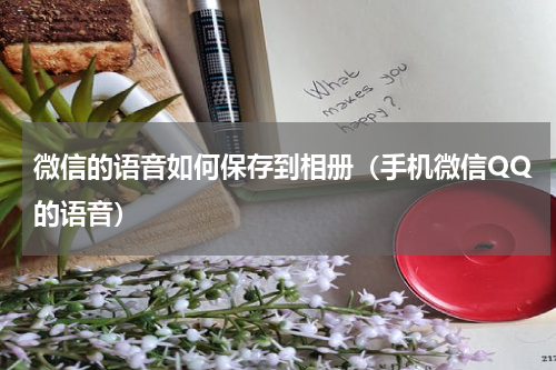 微信的语音如何保存到相册（手机微信QQ的语音）