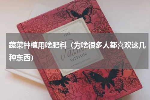 蔬菜种植用啥肥料（为啥很多人都喜欢这几种东西）