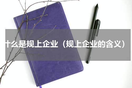 什么是规上企业（规上企业的含义）