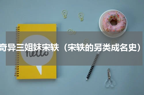 奇异三姐妹宋轶（宋轶的另类成名史）