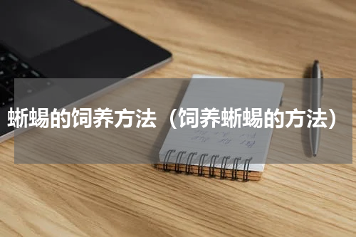 蜥蜴的饲养方法（饲养蜥蜴的方法）