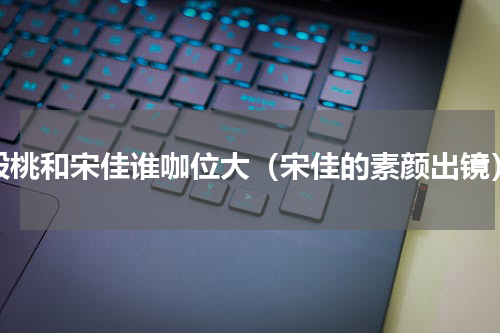 殷桃和宋佳谁咖位大（宋佳的素颜出镜）