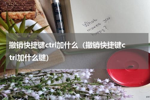 撤销快捷键ctrl加什么（撤销快捷键ctrl加什么键）