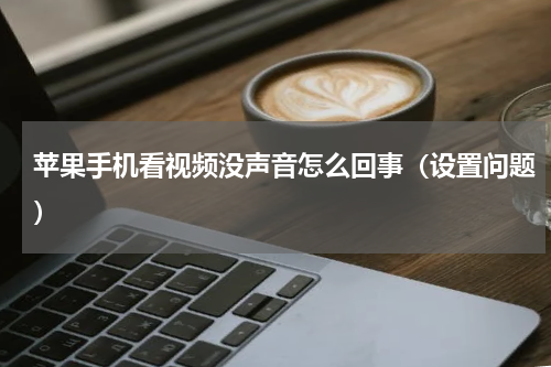 苹果手机看视频没声音怎么回事（设置问题）