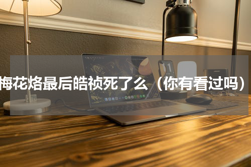 梅花烙最后皓祯死了么（你有看过吗）