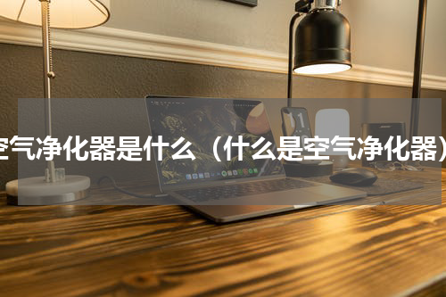 空气净化器是什么（什么是空气净化器）