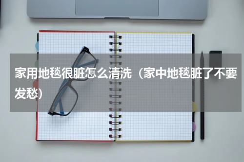 家用地毯很脏怎么清洗（家中地毯脏了不要发愁）