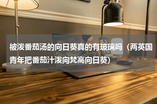 被泼番茄汤的向日葵真的有玻璃吗（两英国青年把番茄汁泼向梵高向日葵）