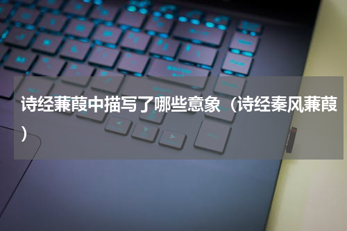 诗经蒹葭中描写了哪些意象（诗经秦风蒹葭）