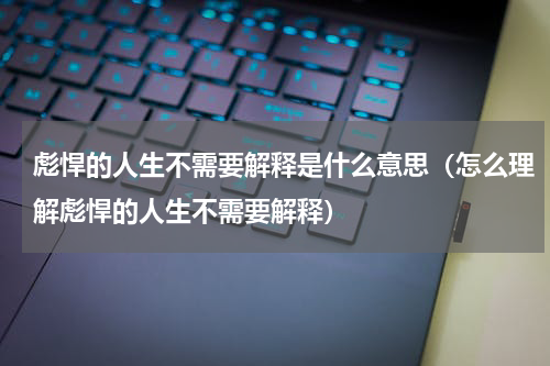 彪悍的人生不需要解释是什么意思（怎么理解彪悍的人生不需要解释）