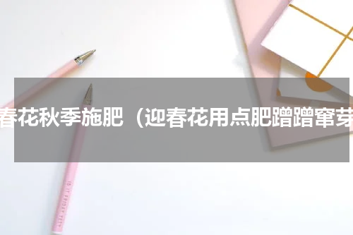 迎春花秋季施肥（迎春花用点肥蹭蹭窜芽）