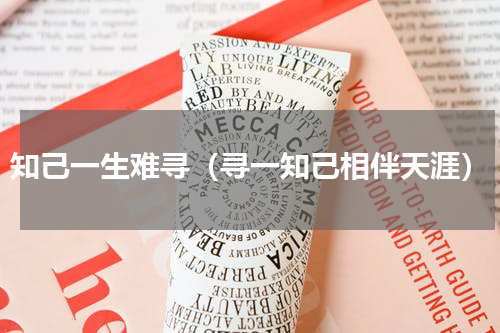 知己一生难寻（寻一知己相伴天涯）