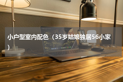 小户型室内配色（35岁姑娘独居56小家）