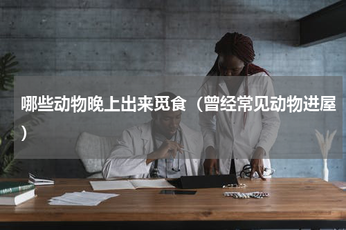 哪些动物晚上出来觅食（曾经常见动物进屋）