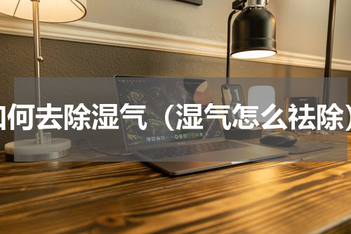 如何去除湿气（湿气怎么祛除）
