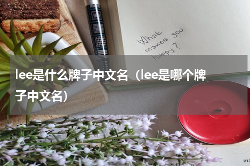 lee是什么牌子中文名（lee是哪个牌子中文名）