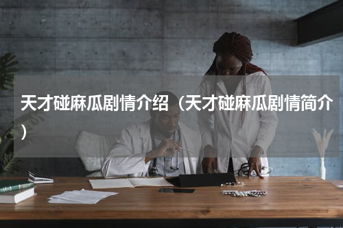 天才碰麻瓜剧情介绍（天才碰麻瓜剧情简介）
