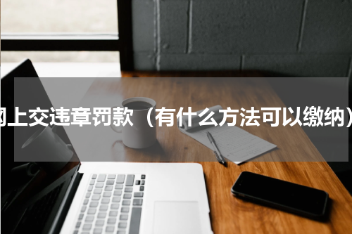 网上交违章罚款（有什么方法可以缴纳）