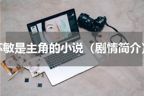 苏敏是主角的小说（剧情简介）