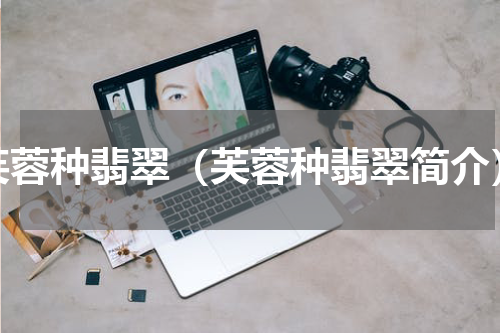 芙蓉种翡翠（芙蓉种翡翠简介）