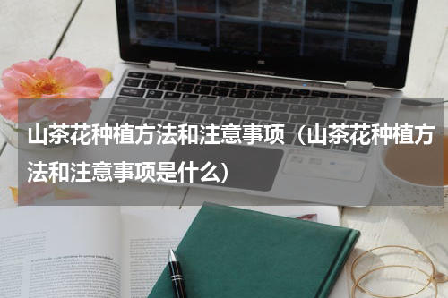 山茶花种植方法和注意事项（山茶花种植方法和注意事项是什么）