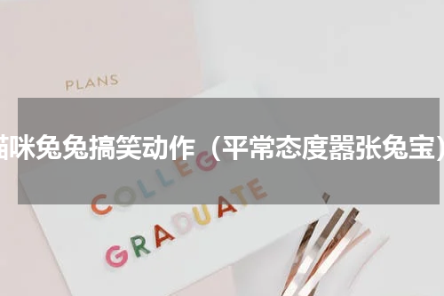 猫咪兔兔搞笑动作（平常态度嚣张兔宝）