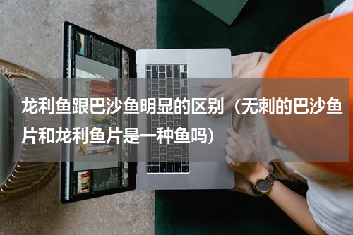 龙利鱼跟巴沙鱼明显的区别（无刺的巴沙鱼片和龙利鱼片是一种鱼吗）