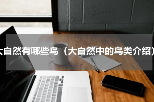 大自然有哪些鸟（大自然中的鸟类介绍）