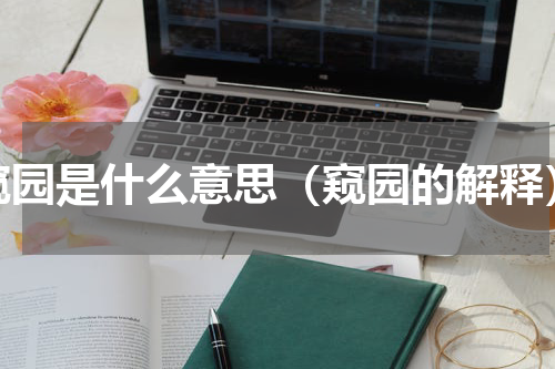 窥园是什么意思（窥园的解释）