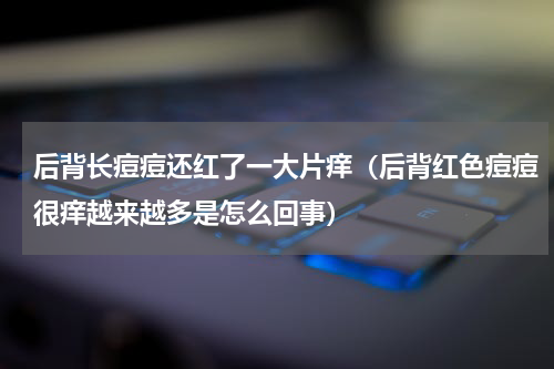 后背长痘痘还红了一大片痒（后背红色痘痘很痒越来越多是怎么回事）