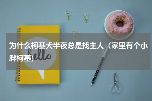 为什么柯基犬半夜总是找主人（家里有个小胖柯基）