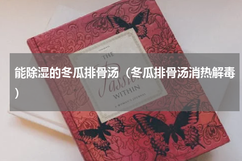能除湿的冬瓜排骨汤（冬瓜排骨汤消热解毒）