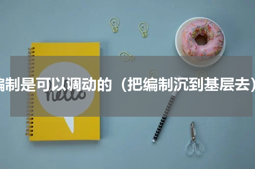 编制是可以调动的（把编制沉到基层去）