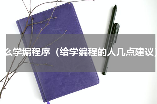 怎么学编程序（给学编程的人几点建议）