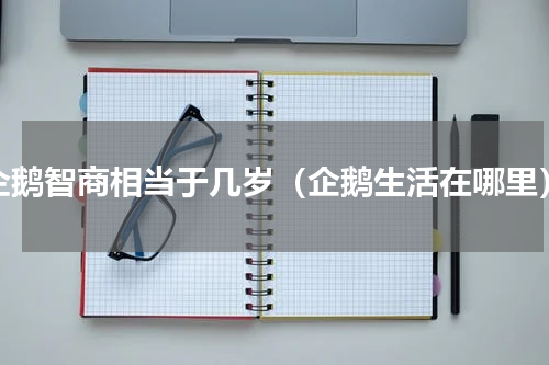 企鹅智商相当于几岁（企鹅生活在哪里）