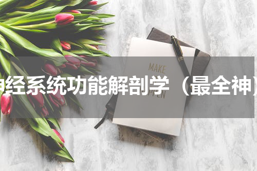 神经系统功能解剖学（最全神）