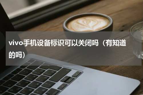 vivo手机设备标识可以关闭吗（有知道的吗）