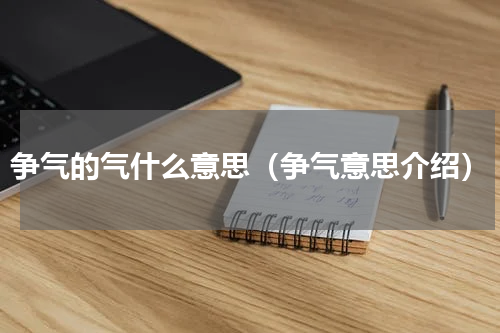 争气的气什么意思（争气意思介绍）