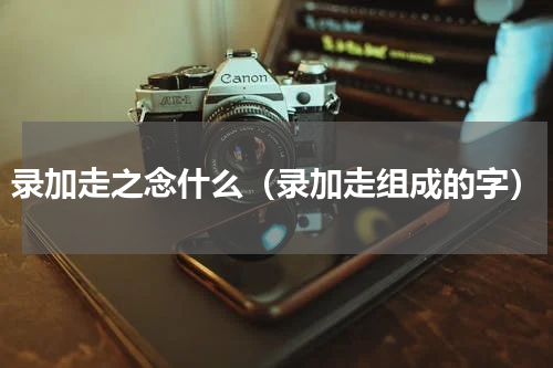 录加走之念什么（录加走组成的字）