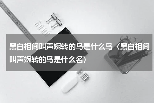 黑白相间叫声婉转的鸟是什么鸟（黑白相间叫声婉转的鸟是什么名）