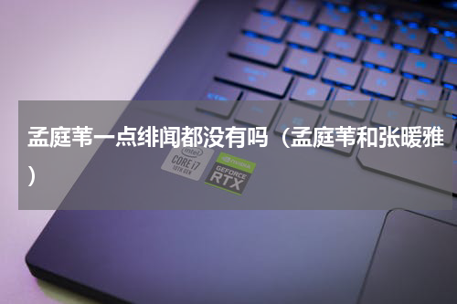 孟庭苇一点绯闻都没有吗（孟庭苇和张暖雅）