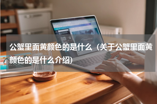 公蟹里面黄颜色的是什么（关于公蟹里面黄颜色的是什么介绍）