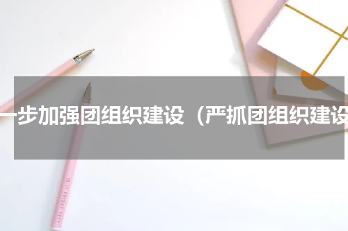 进一步加强团组织建设（严抓团组织建设）