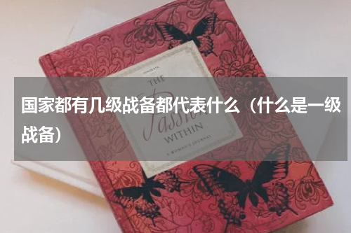 国家都有几级战备都代表什么（什么是一级战备）