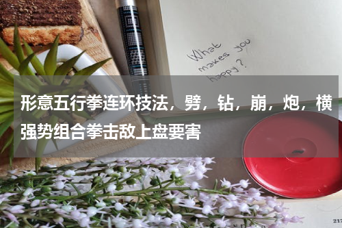 形意五行拳连环技法，劈，钻，崩，炮，横强势组合拳击敌上盘要害