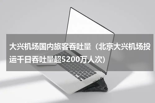 大兴机场国内旅客吞吐量（北京大兴机场投运千日吞吐量超5200万人次）