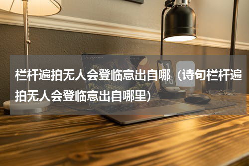 栏杆遍拍无人会登临意出自哪（诗句栏杆遍拍无人会登临意出自哪里）