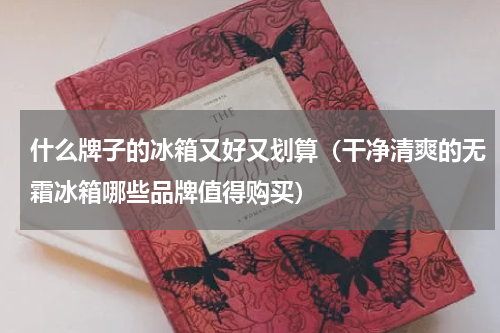什么牌子的冰箱又好又划算（干净清爽的无霜冰箱哪些品牌值得购买）