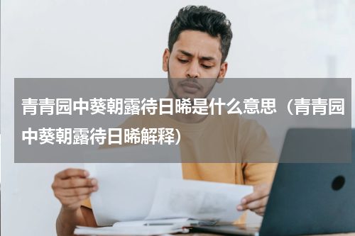 青青园中葵朝露待日晞是什么意思（青青园中葵朝露待日晞解释）